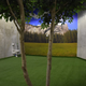 Foto: Survival Condo.